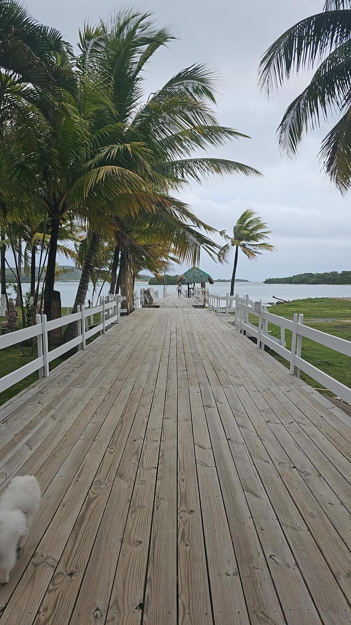Las Palmas Joliet Corozal エクステリア 写真